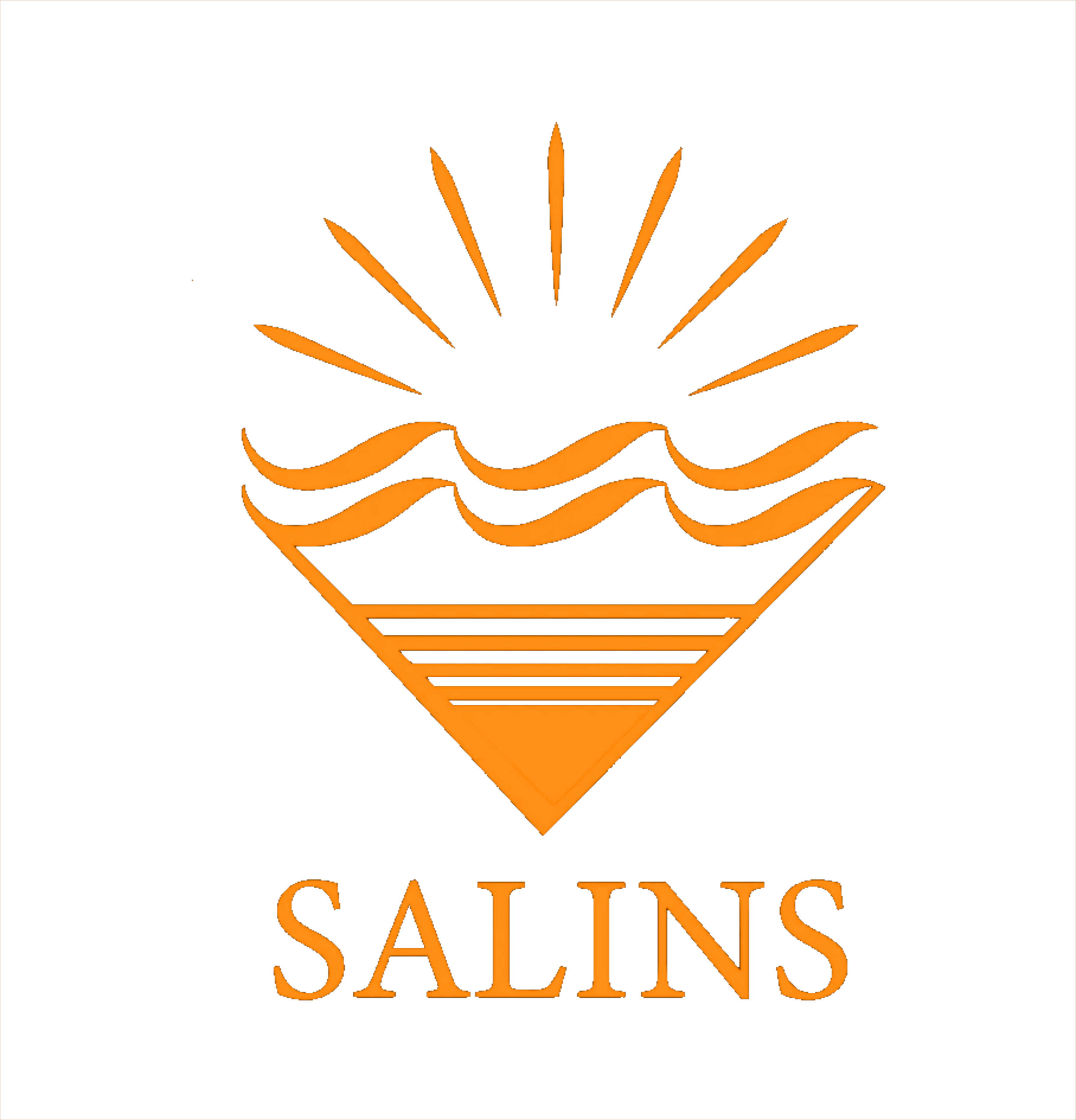 Groupe Salins