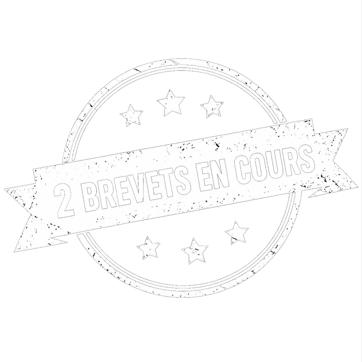 2 brevets en cours